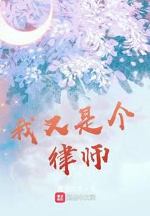 我又是个律师